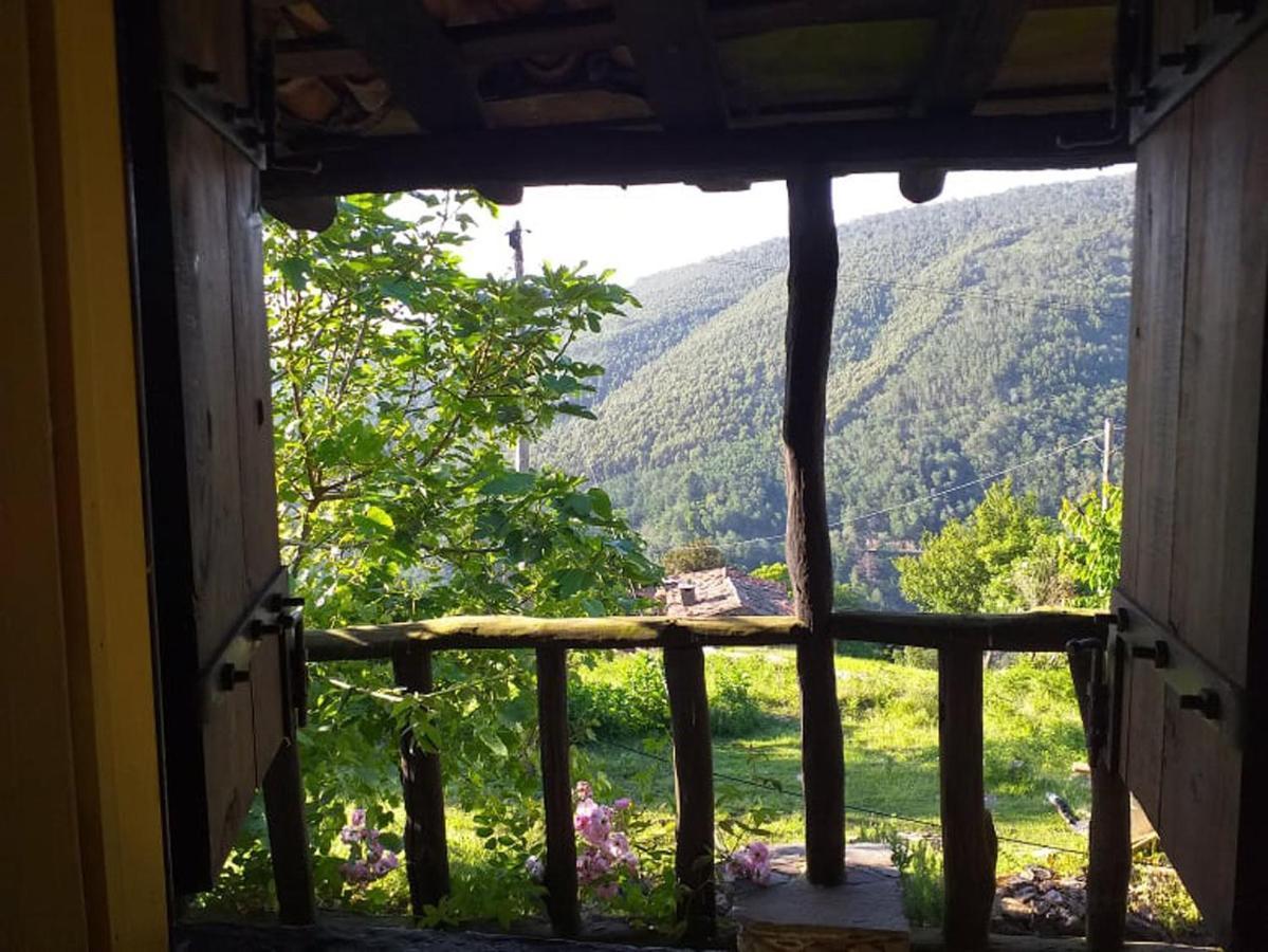 Vila Casa Dos Livros Talasnal Exteriér fotografie