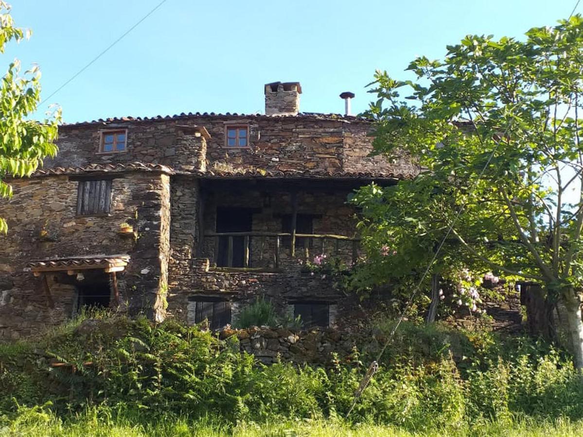 Vila Casa Dos Livros Talasnal Exteriér fotografie